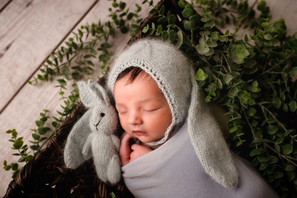 knoxville bunny photographer