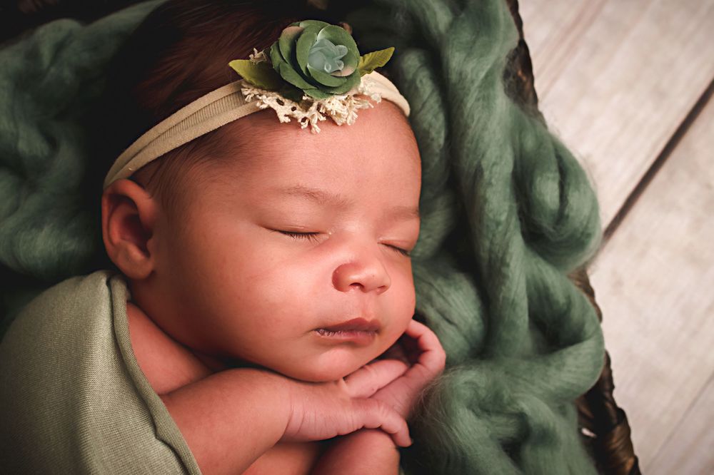 Farragut newborn photography