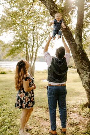 Playful family moment by a tree as child is lifted high in the air.