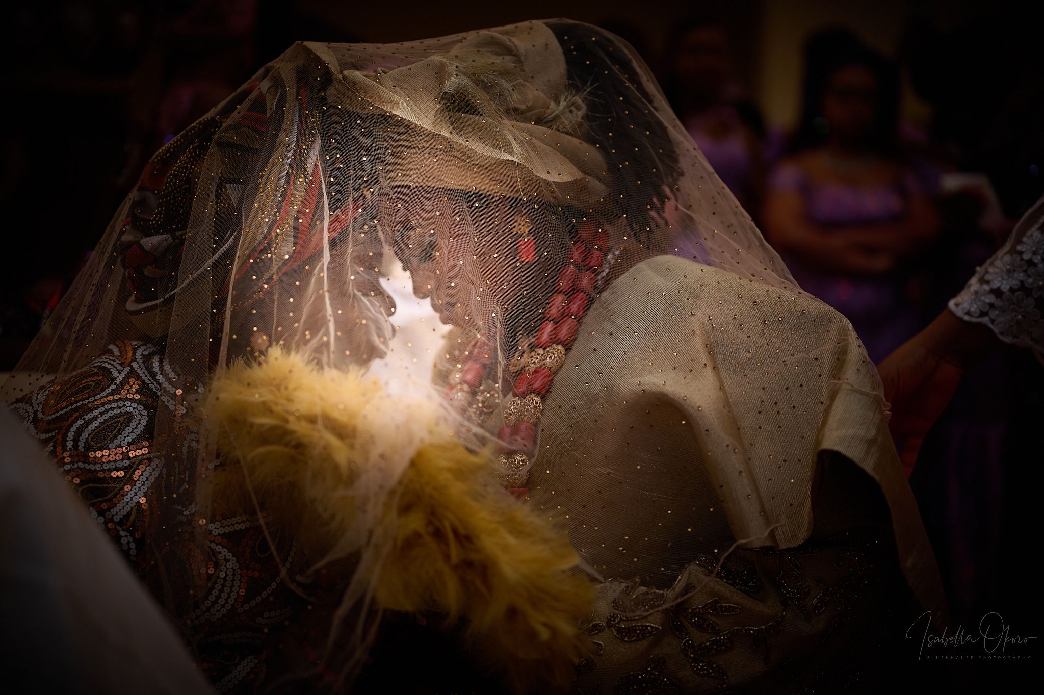 Artistic close-up of wedding veil details with feather accents in warm lighting.