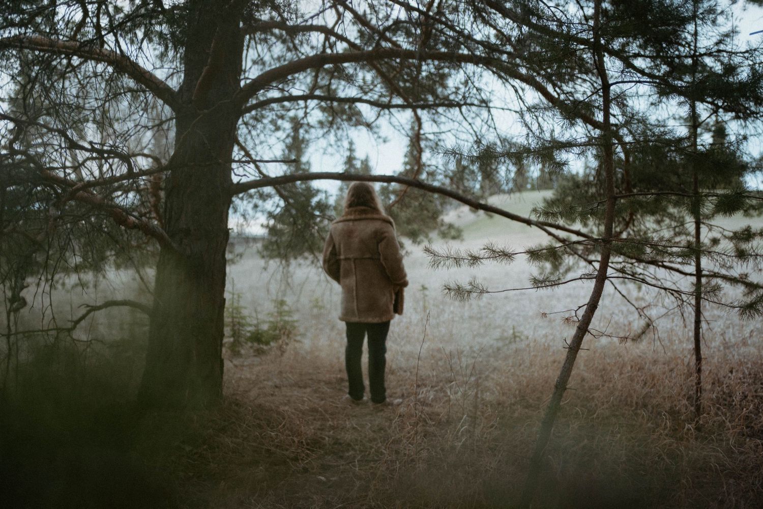 Silhouette of person standing among foggy trees in winter landscape.