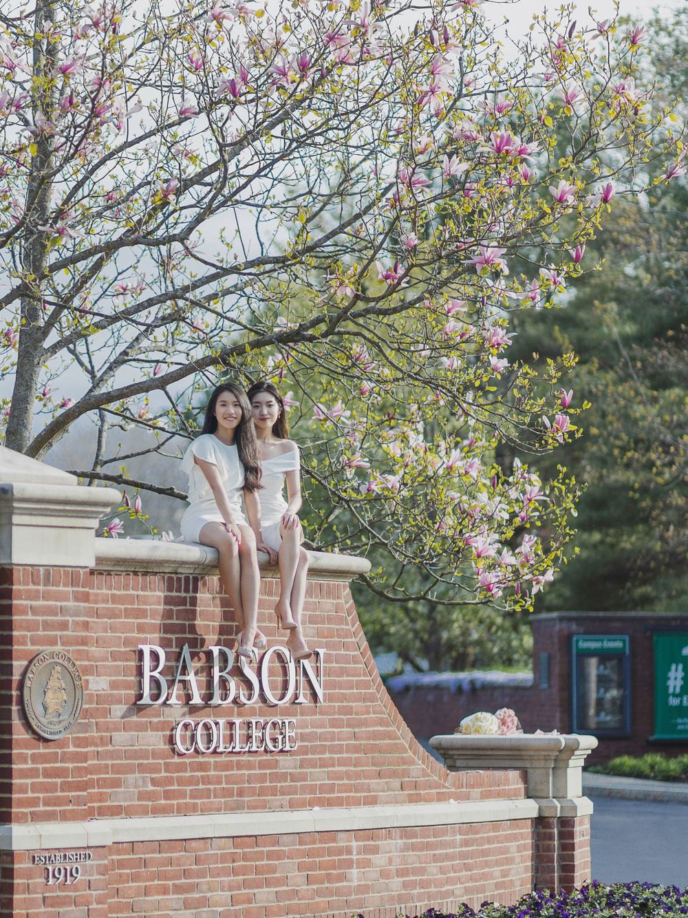 Students sitting on a brick Babson College sign under flowering trees in springtime.