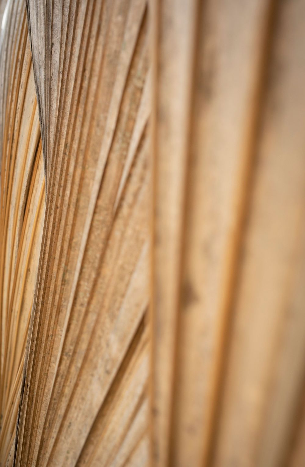 Macro shot of paper pages with shallow depth of field creating vertical lines in warm tones.