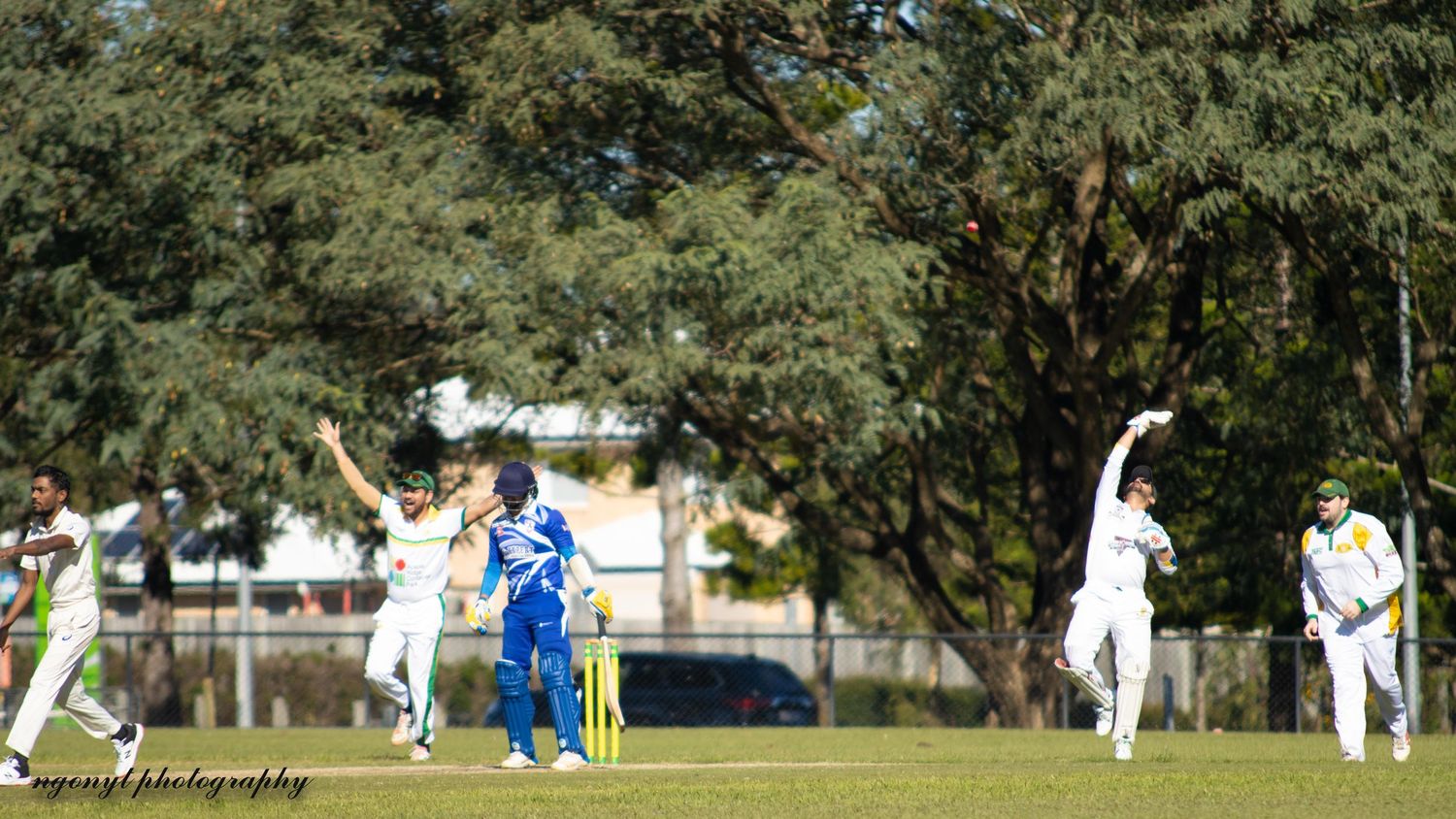 Cricket players competing on a sunny field with trees in the background.