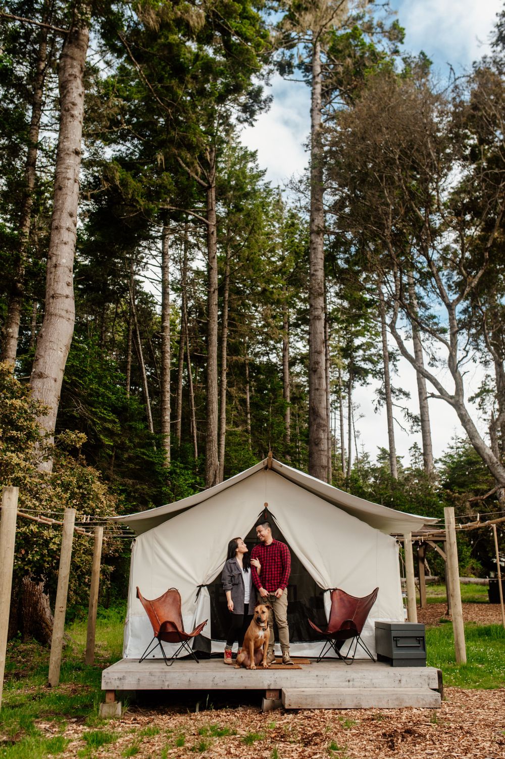 A glamping tent platform nestled among tall trees in the forest with camping chairs and a dog outside.