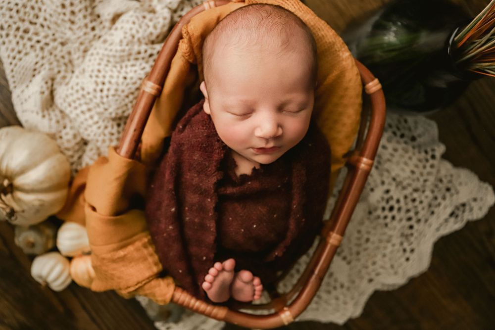 fine art fall newborn photo, with pumpkins and yellow in basket, in harford county, maryland