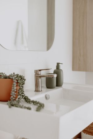 Modern minimalist bathroom sink with brass faucet and decorative plants.