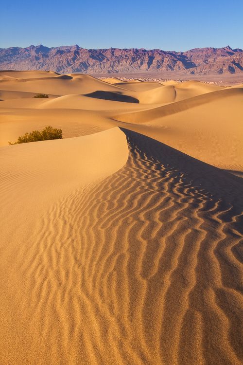 Sand Dunes, Death Valley National Park, California