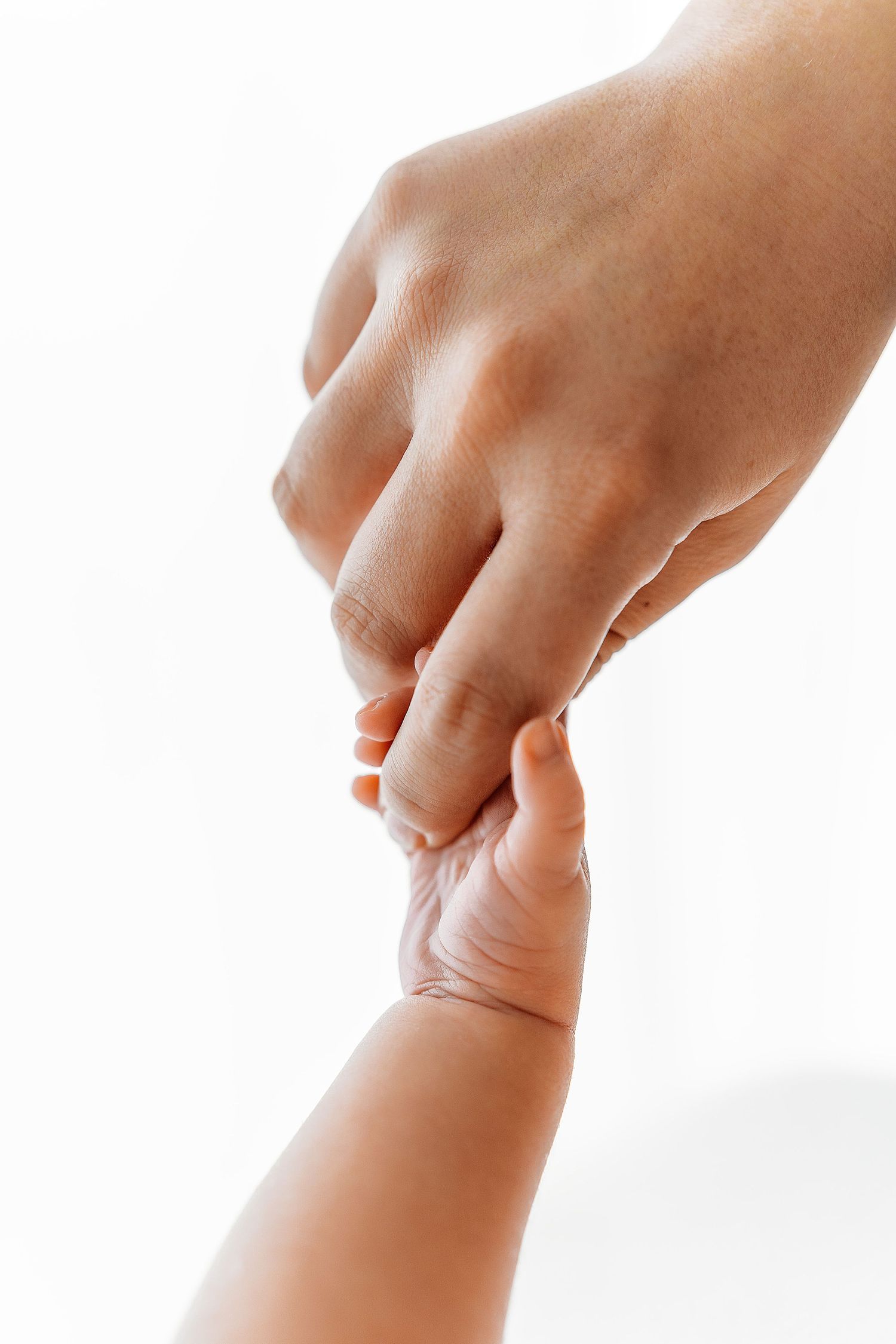 Close up of parent and baby hands touching in tender moment against white background.