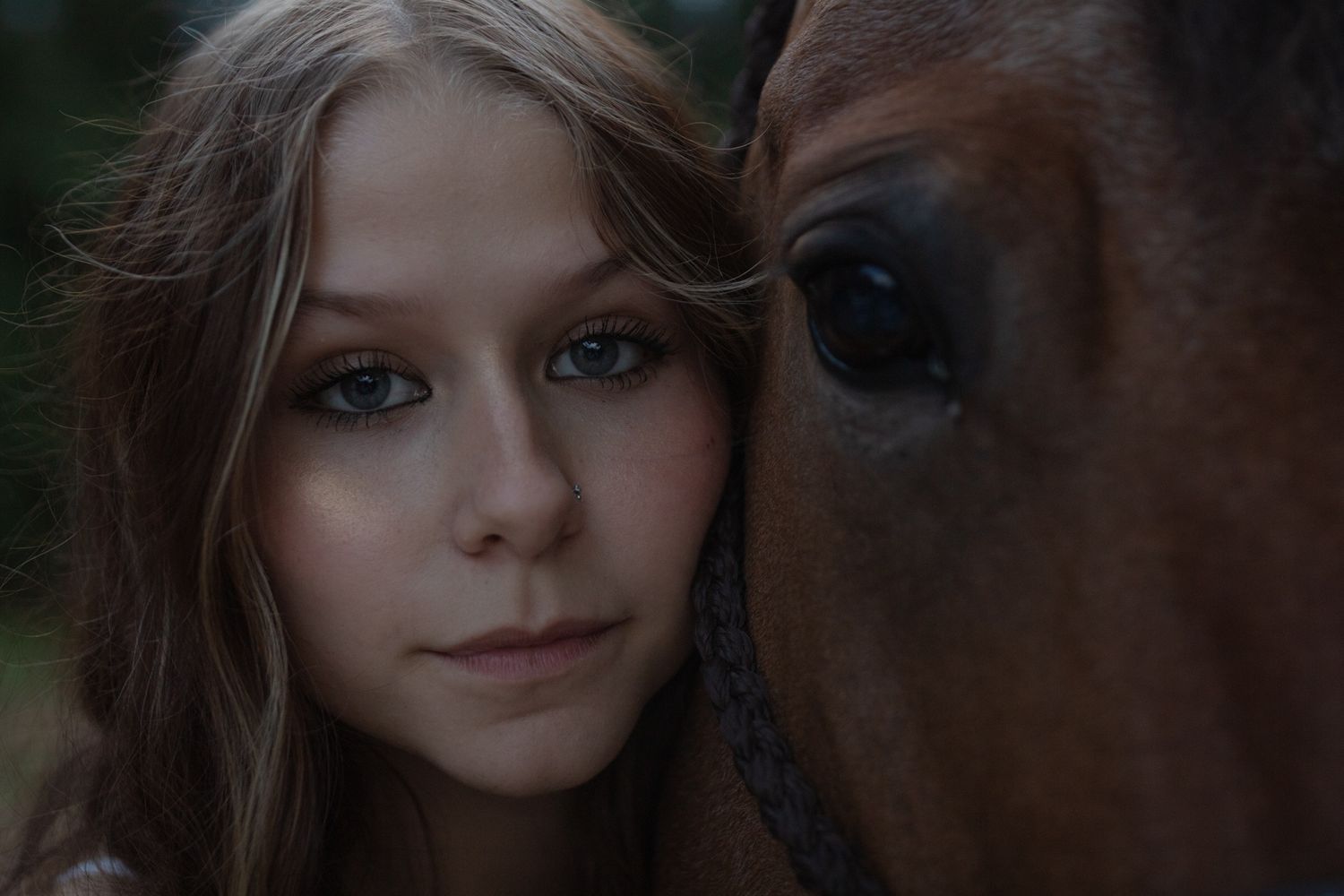 Close up portrait showing the gentle connection between a horse and person.