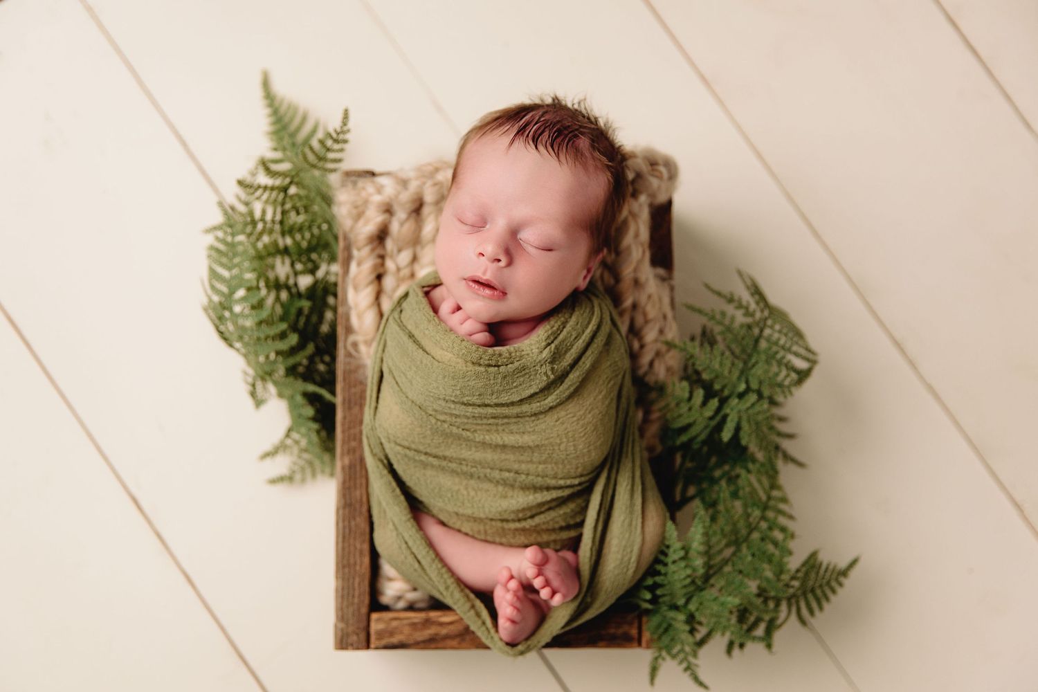 professional studio portrait of newborn baby boy in brown box surrounded with green fern