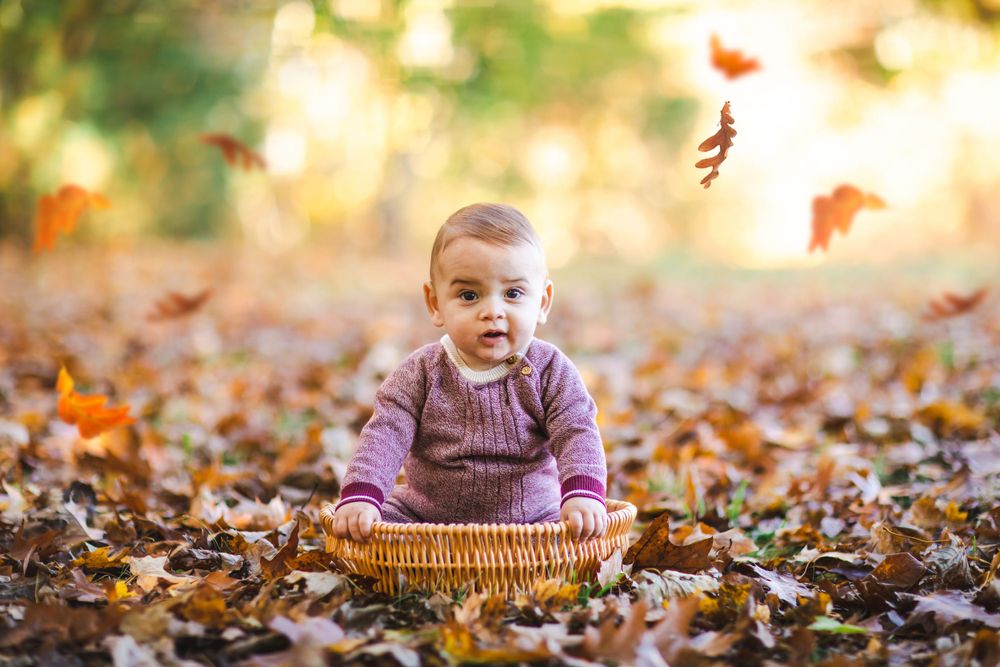 fall family photos