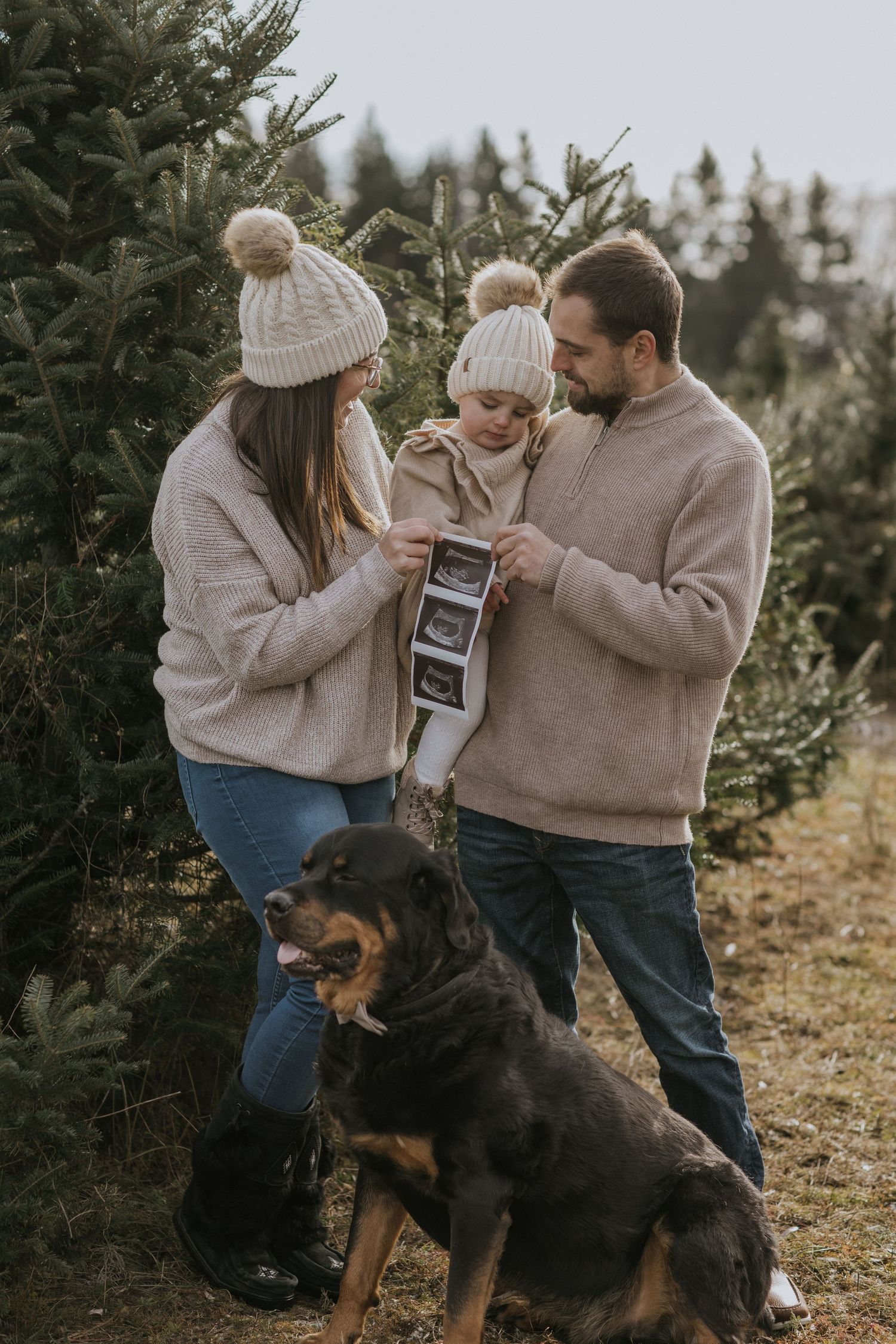 Family poses with their dog during winter photoshoot near evergreen trees.