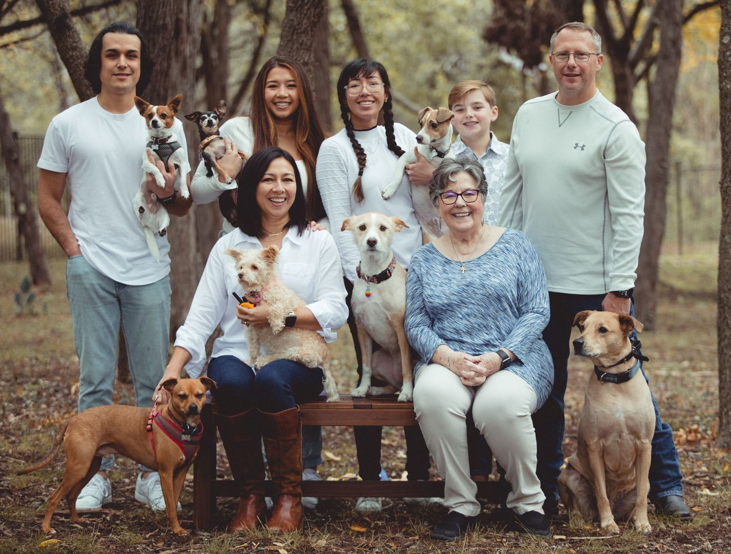 Family portrait session outdoors with multiple dogs sitting together on fallen leaves.