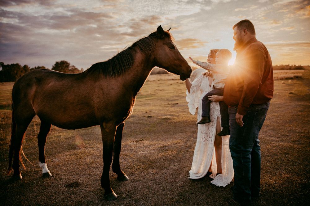 lakeland photographer- family at sunset with horses