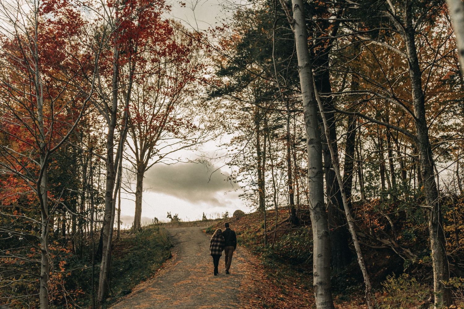 Two figures walk up a hill surrounded by fall foliage and bare trees.