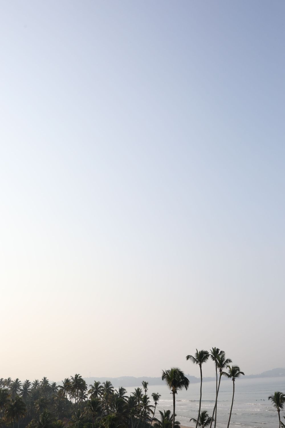 Tropical coastline with palm trees silhouetted against clear morning sky.