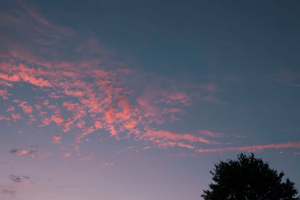 Dramatic pink and purple sunset clouds in a darkening evening sky.