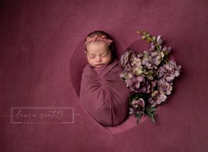newborn girl photography in heart shaped bowl.  Magenta color scheme newborn session