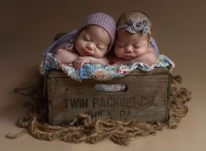 twin newborn girls portrait, babies posed in twin photography crate, baby bonnet, twin portrait session