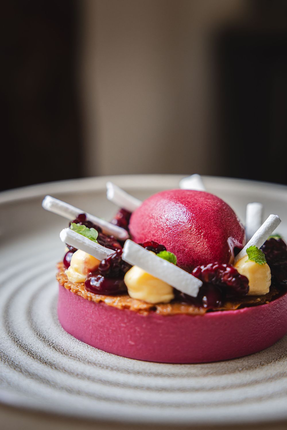 Modern dessert plate featuring vibrant pink dome with white chocolate and berry garnishes.