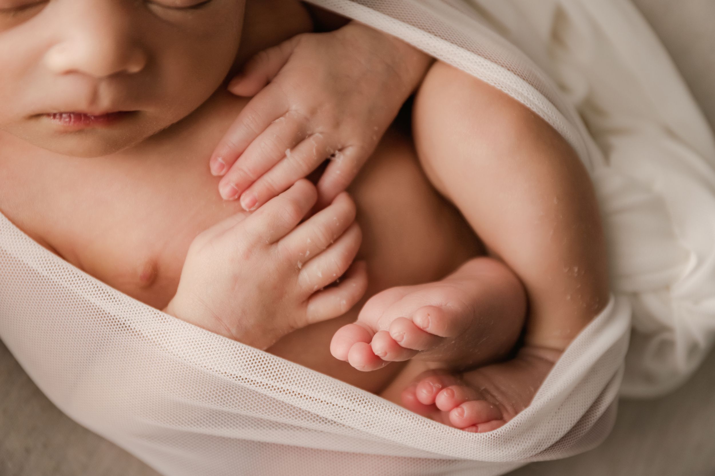 fine art newborn studio portrait featuring baby details