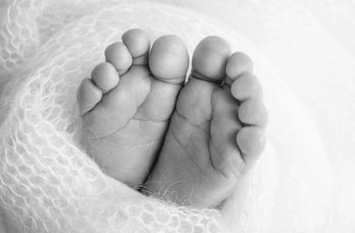 Close-up black and white photograph of tiny baby feet wrapped in soft white lace fabric.