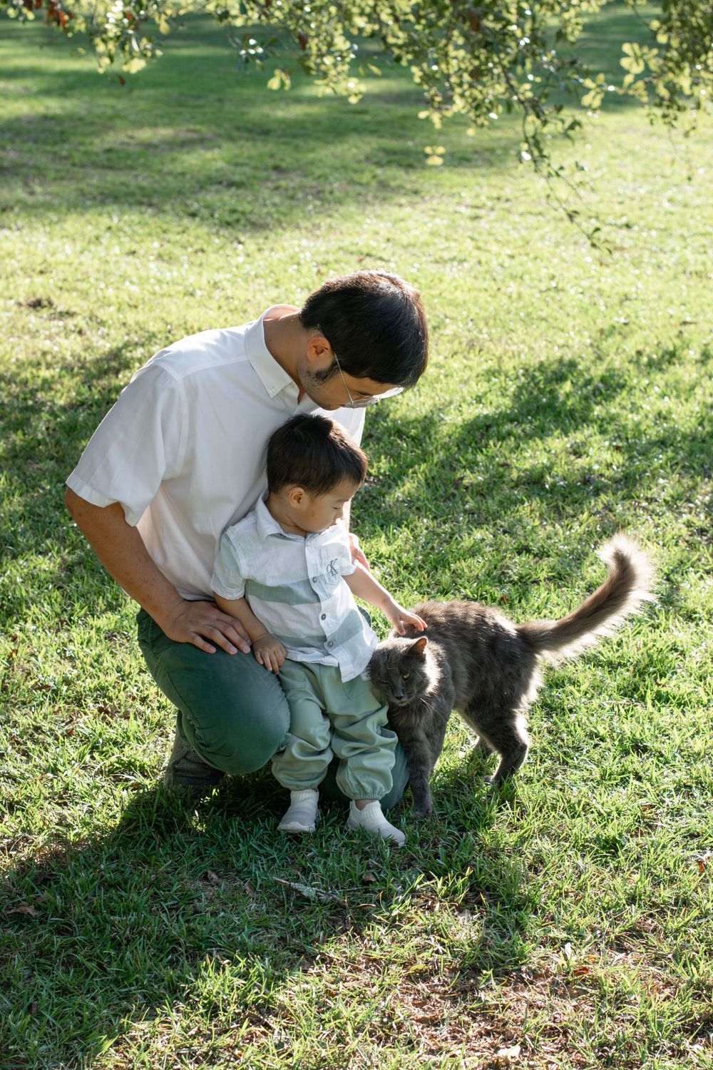 A gentle moment in a sunny garden as family members pet a friendly grey cat together.