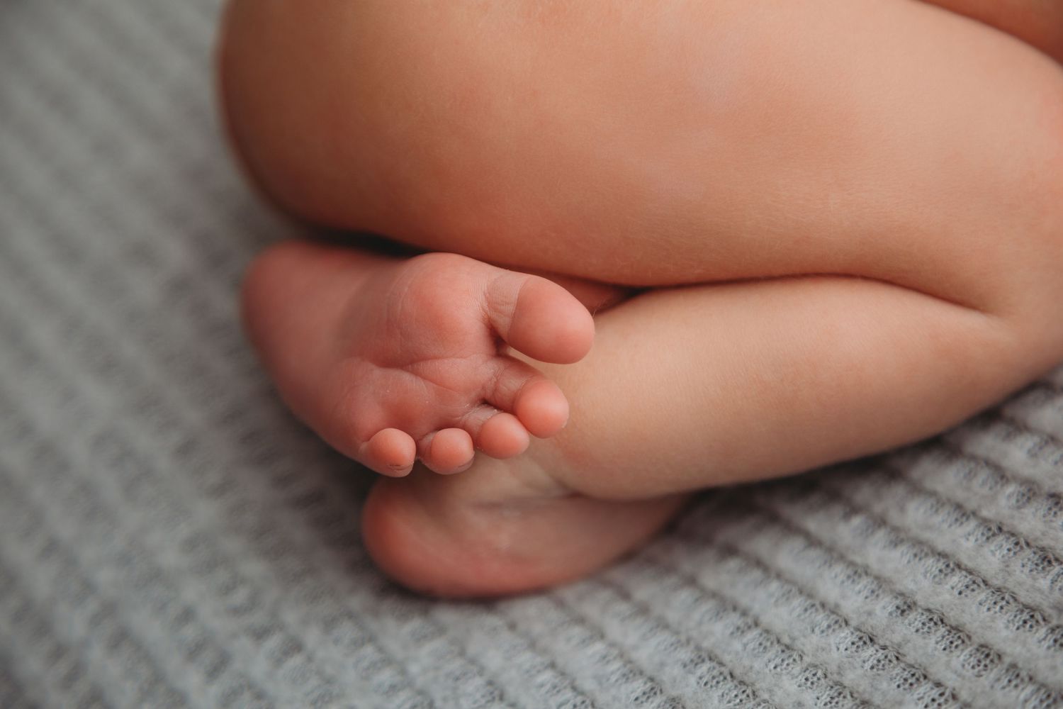 toes details wrapped newborn posed photographer studio trained skilled professional NY WNY East Aurora buffalo