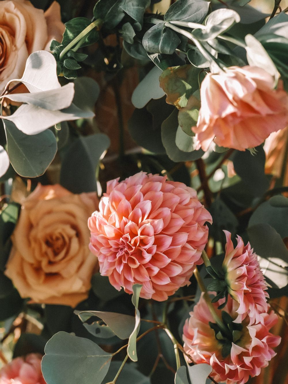Delicate pink and peach roses and dahlias bloom among green foliage in a romantic garden setting.