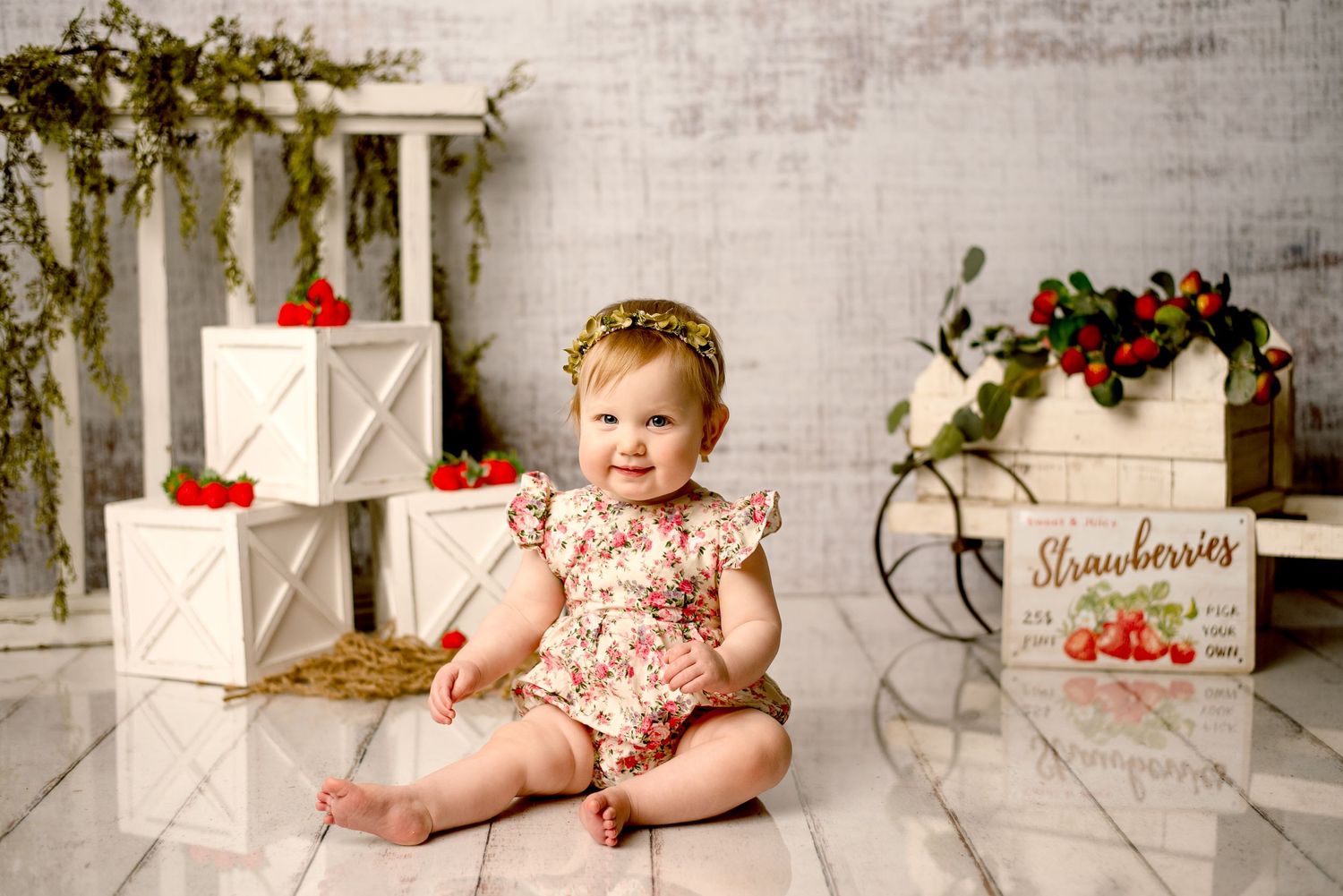 WNY STUDIO PHOTOGRAPHER, WNY FAMILY PHOTOGRAPHER, WNY CAKE SMASH PHOTOGRAPHER, BUFFALO FAMILY PHOTOGRAPHER