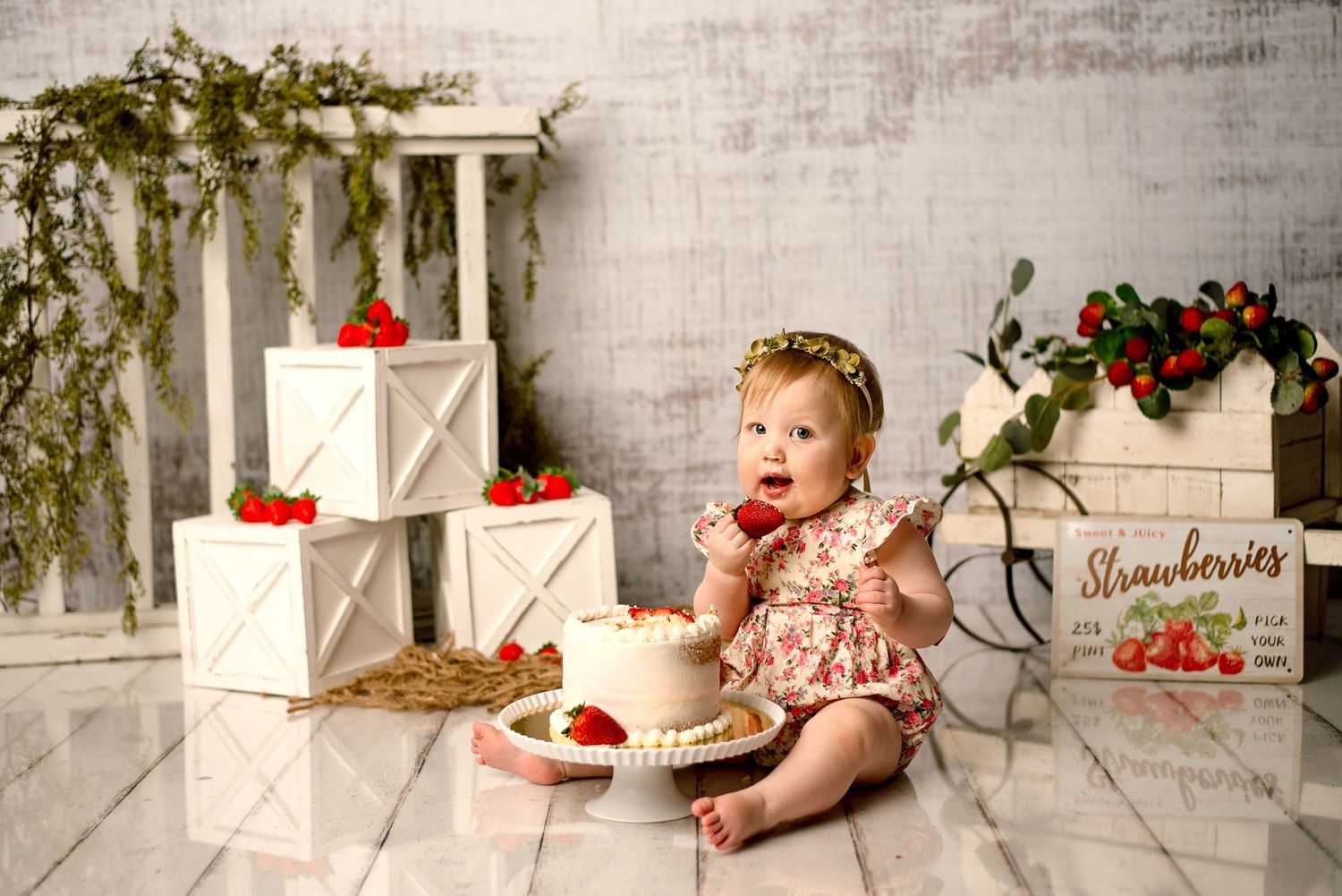 cake smash WNY, CAKE SMASH ROCHESTER, CAKE SMASH BUFFALO NY, NY CAKE SMASH, BUFFALO PHOTOGRAPHER