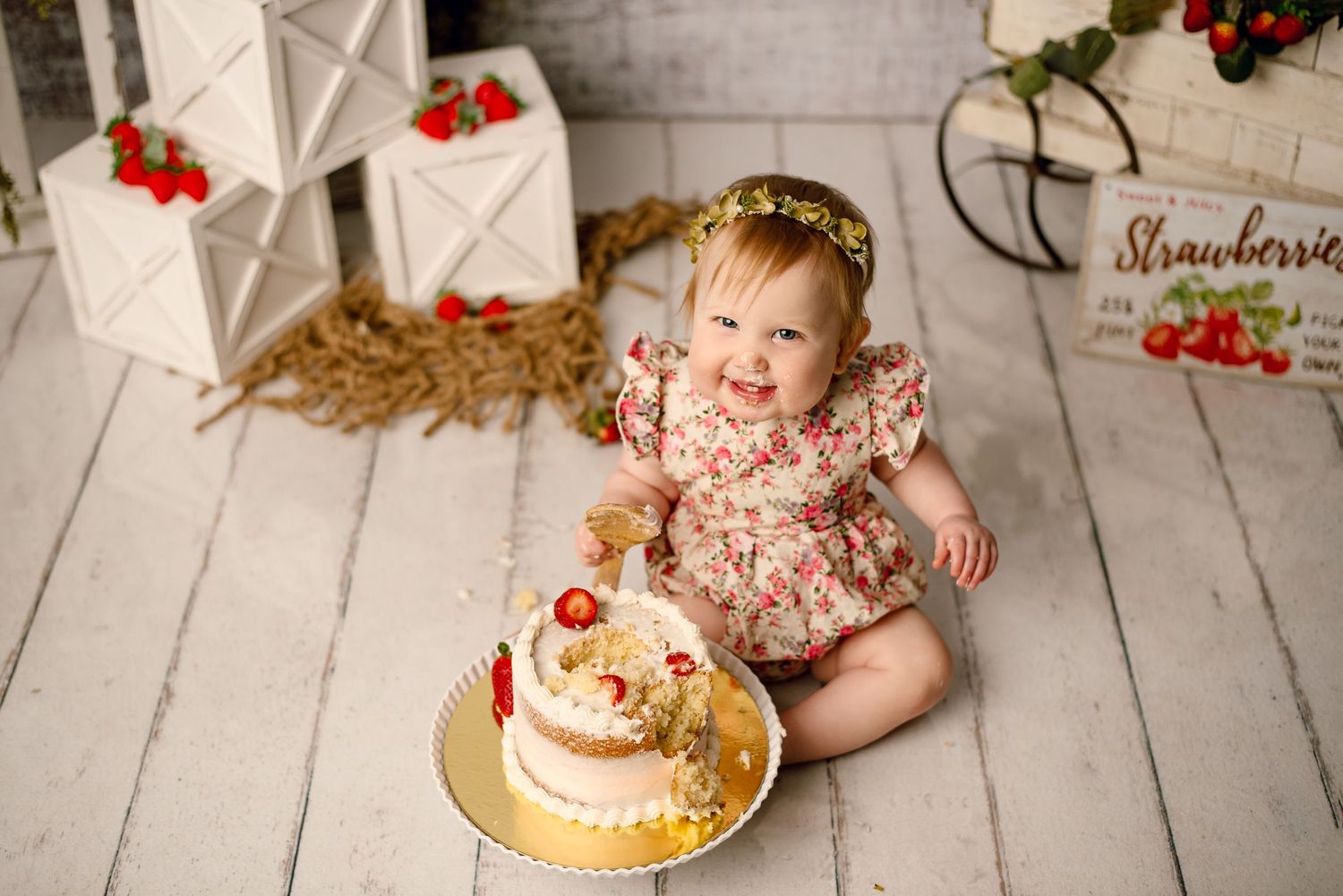 WNY STUDIO PHOTOGRAPHER, WNY FAMILY PHOTOGRAPHER, WNY CAKE SMASH PHOTOGRAPHER, BUFFALO FAMILY PHOTOGRAPHER