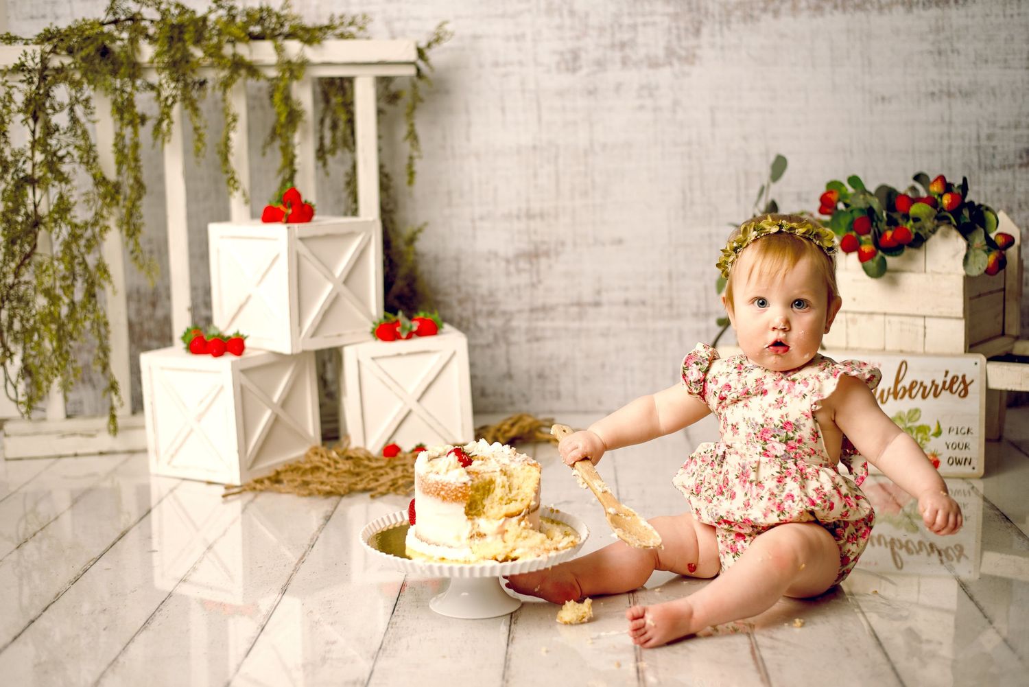 WNY STUDIO PHOTOGRAPHER, WNY FAMILY PHOTOGRAPHER, WNY CAKE SMASH PHOTOGRAPHER, BUFFALO FAMILY PHOTOGRAPHER