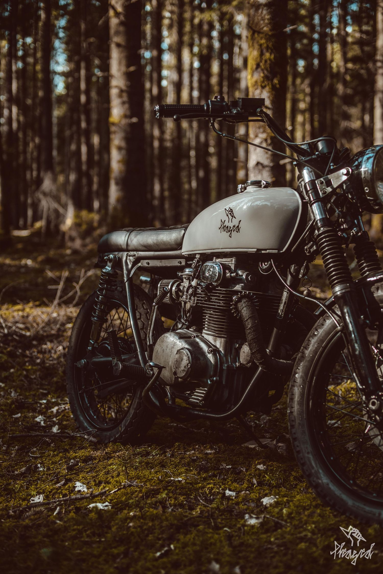 PleasedCo. CB250
