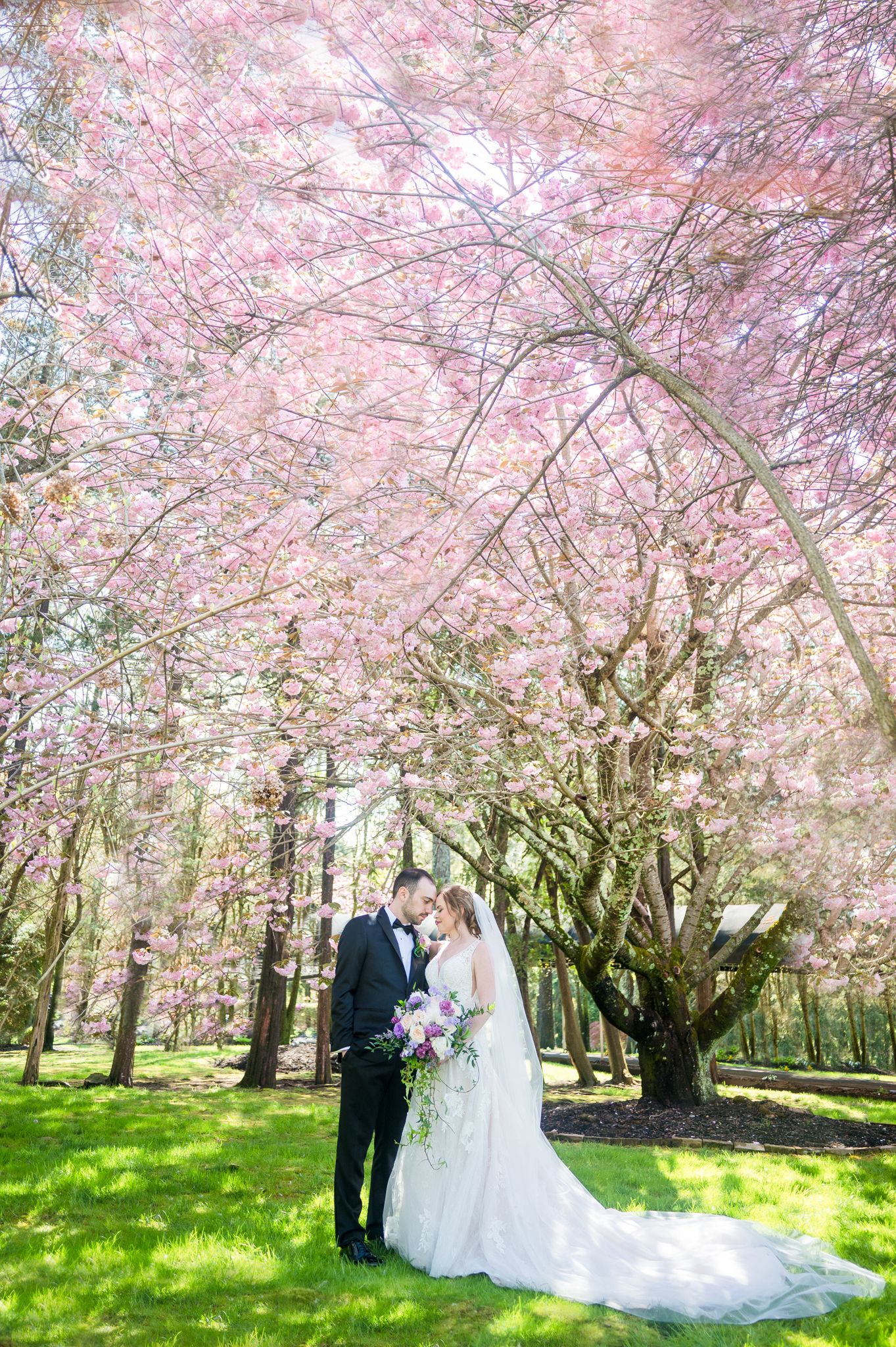 Bride and groom facing each other under a full cherry blossom tree.