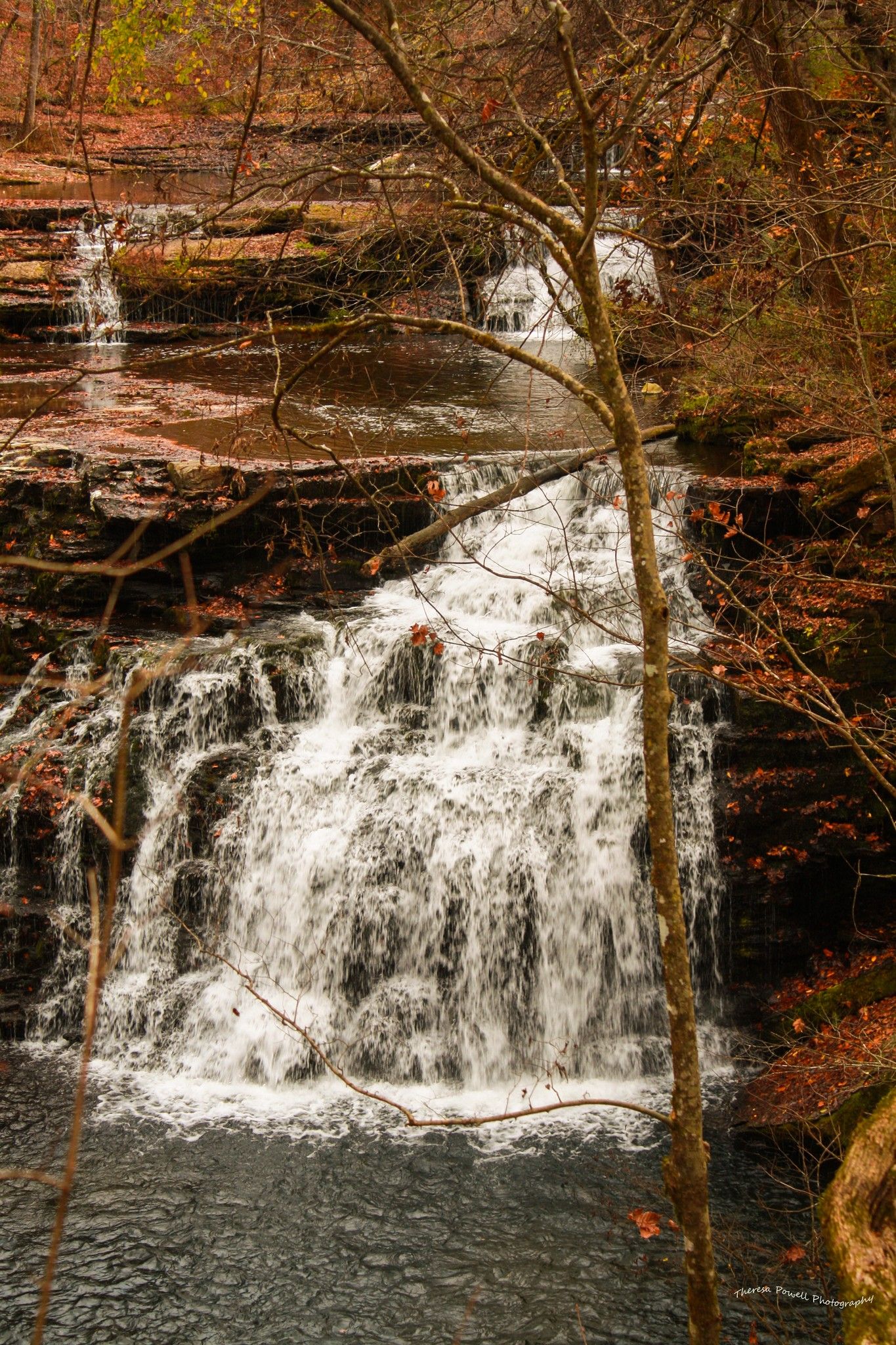 Nature somewhere in Middle TN