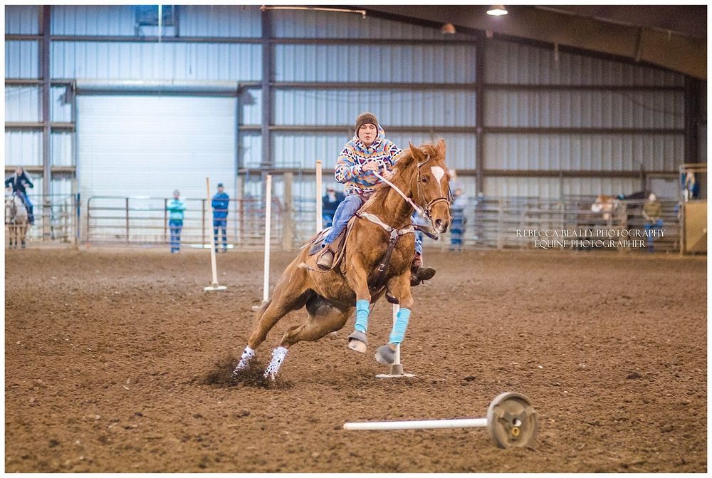 Versailles Kentucky Winter Buckle Show at Hodge Arena Rebecca Beatty Equine Photography