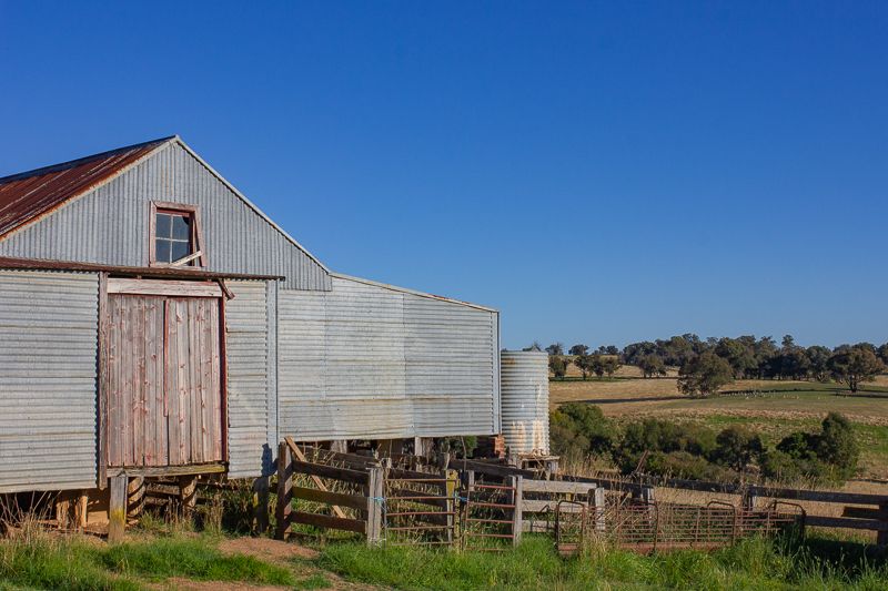 Eudora Farm Em Callaghan Photography