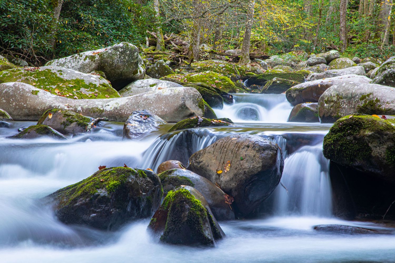 Cascading waterfall flows over moss-covered rocks in a mountain stream.