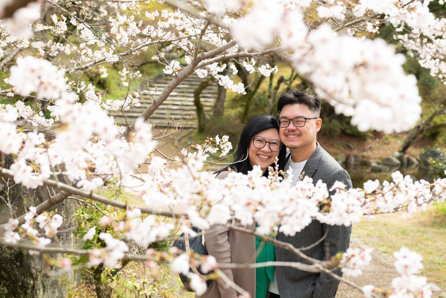 Couple embracing among blooming white cherry blossom branches in a Japanese garden.