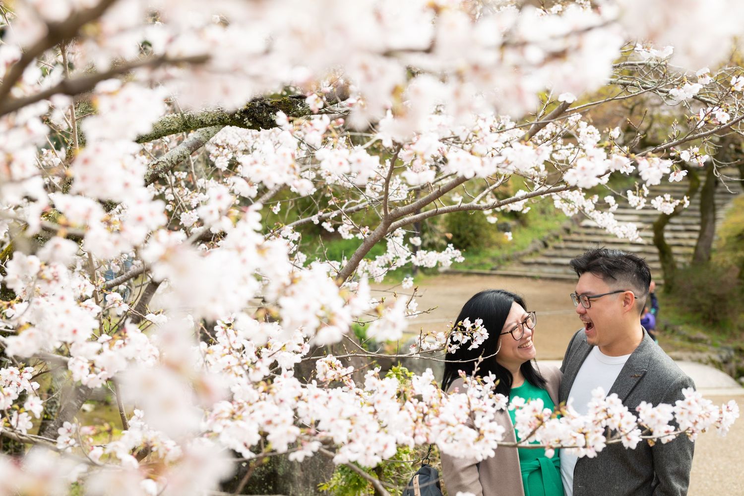 Couple walking and talking beneath white cherry blossom trees in a Japanese park.
