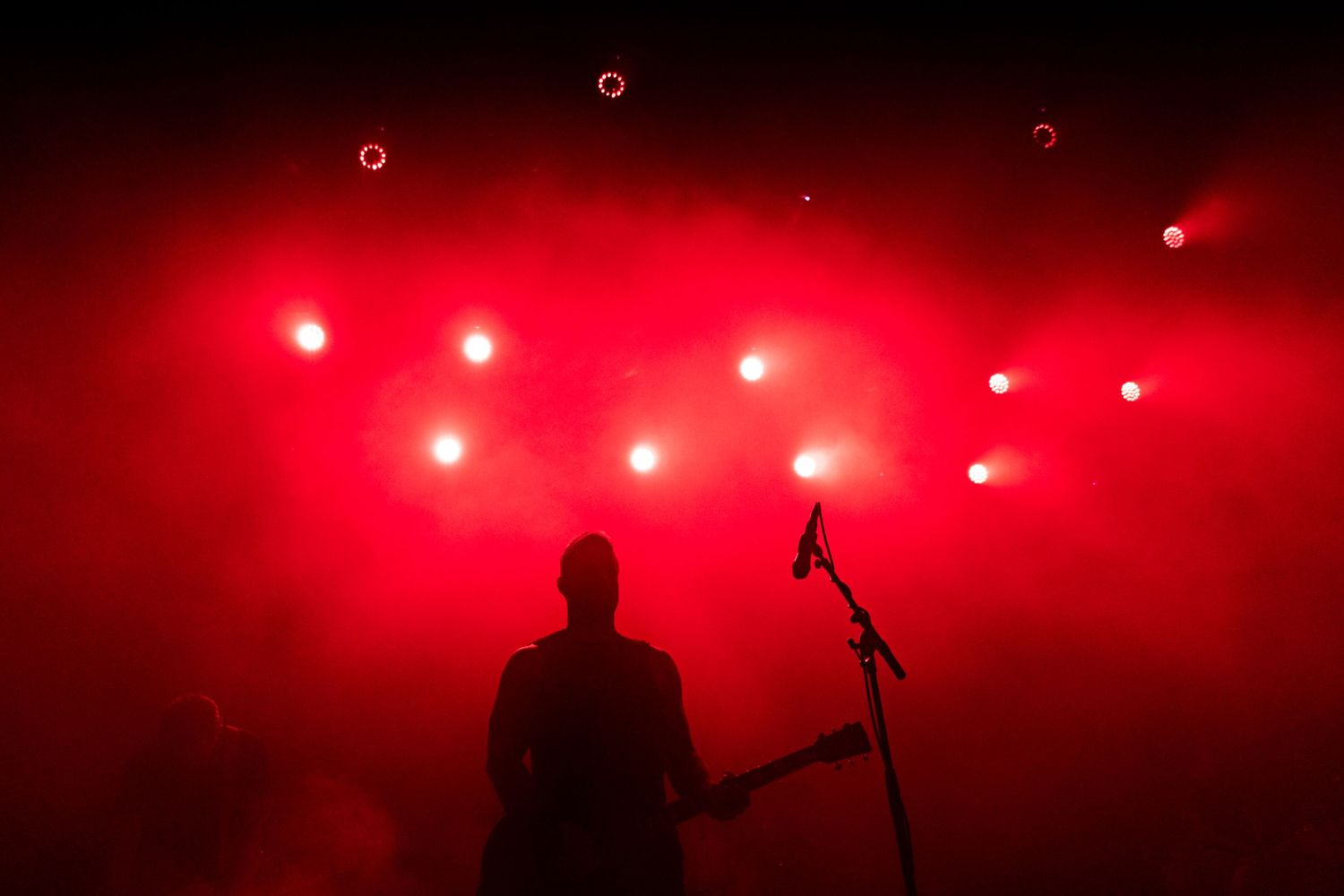 photographe concert paris