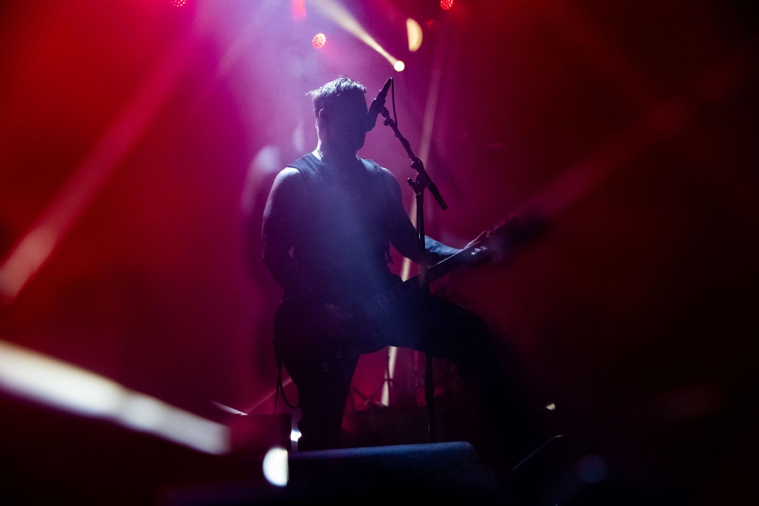 photographe concert paris