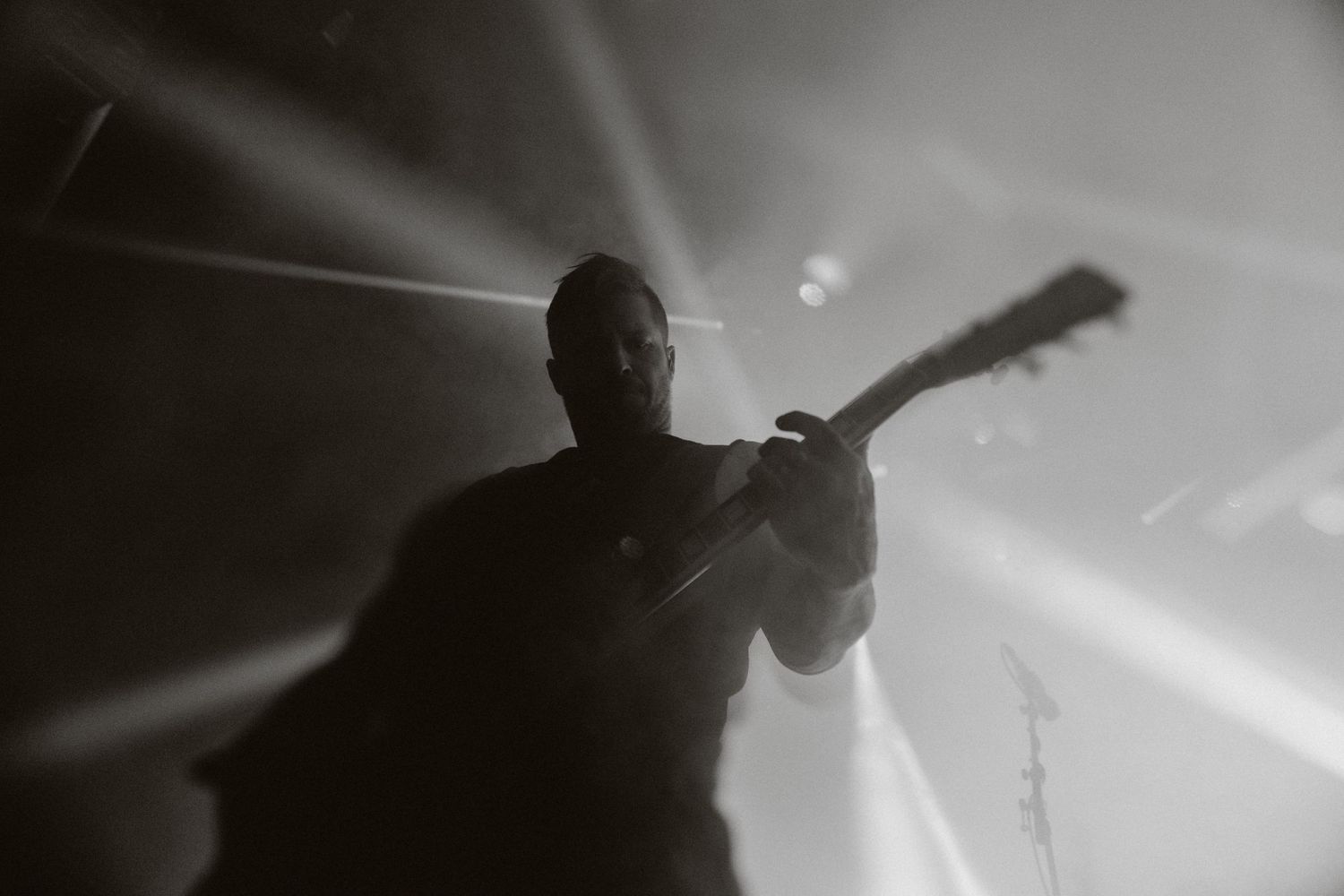 photographe concert paris
