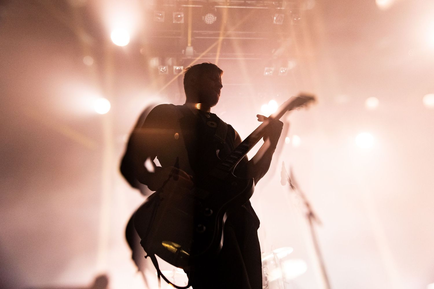 photographe concert paris