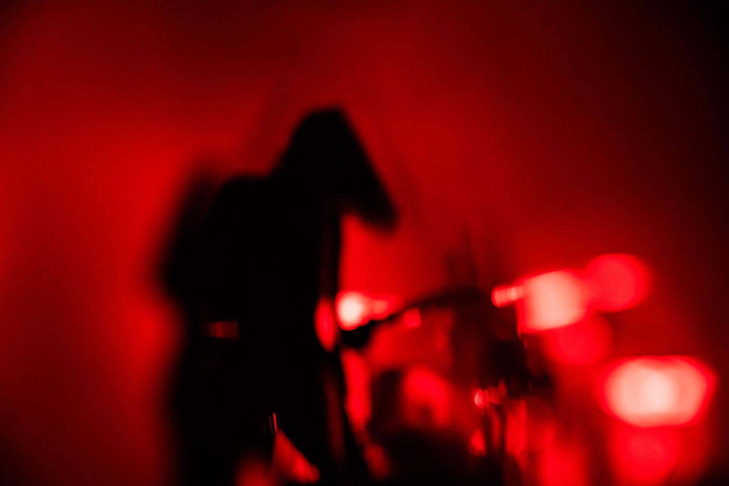 photographe concert paris