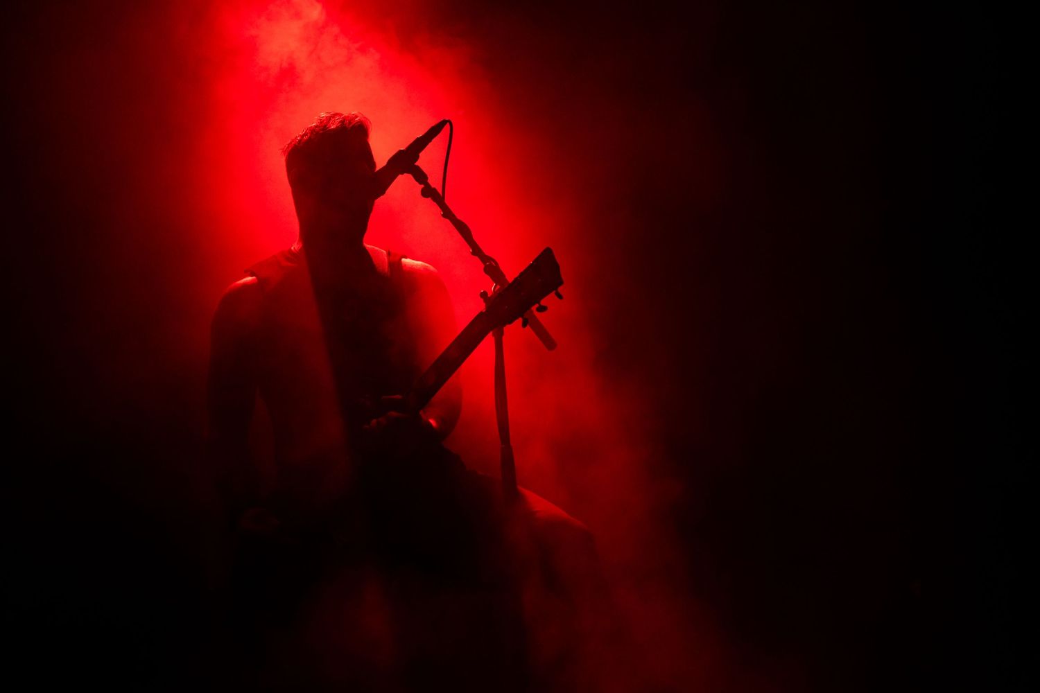 photographe concert paris