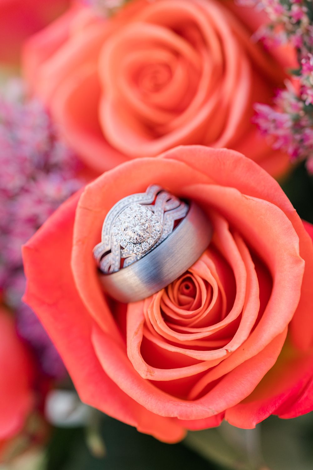 Wedding rings nestled in coral rose petals with purple accents.