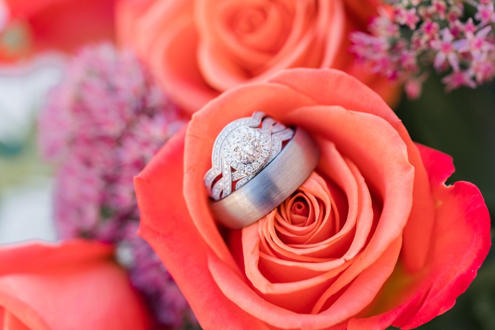 Close-up of diamond rings displayed in coral rose petals.
